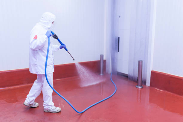 Best Graffiti Removal  in Soda Springs, ID